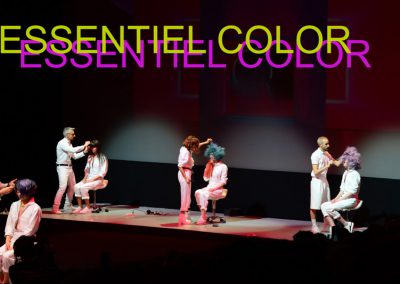 Essentiel Color – 2017 Collection